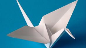 1,000 cranes to fly in Portlaoise for charity