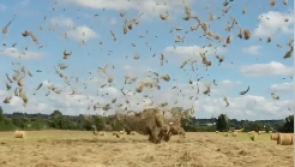 Farmer catches mini tornado on camera