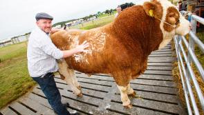  Europe's biggest agricultural show launches in Midlands after lockdown