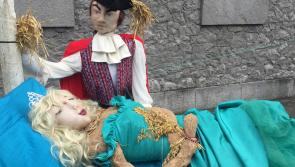 PHOTOS: Durrow Scarecrow festival 2017-Which your favourite?: Part 3