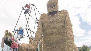 King Kong roars his way to first prize at the Durrow Scarecrow Festival