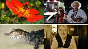 Five exciting events Laois people can look forward to during Heritage Week