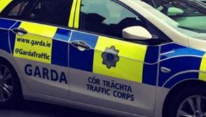 Truck stopped in Stradbally with foreign nationals 