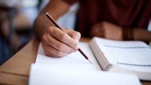 New courses available for Laois people aimed at upskilling and reskilling 