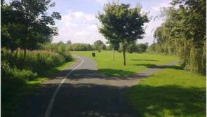 New laws coming for Laois parks, where cycling,  music, tree climbing and cursing are subject to €1270 fines
