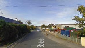 Two young Portarlington girls reportedly threatened by a gang of boys armed with a stick