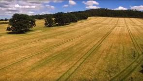 WATCH: Fascinating video showcasing 378 year-old local farm open for Laois Heritage Week