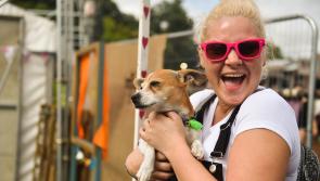 Electric Picnic: TRAILER PARK… a glorious Stradbally smörgåsbord