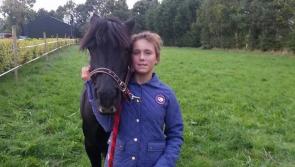 Laois family ‘absolutely devastated’ as their horse is tragically killed by ‘pack of dogs’