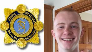 Missing Person: Laois Offaly Gardaí make appeal to trace missing teenager 
