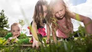 Laois Heritage Week: Twelve events around the county this weekend