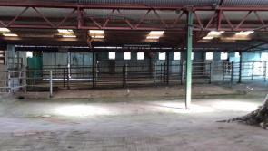 New car boot sale/farmers market coming to Laois