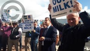 In pictures: Farmers protest in  Laois over milk prices