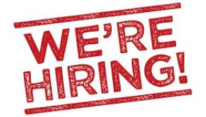 Jobs: Advertising Sales Executive sought for the Leinster Express 