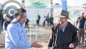 Even the Aussies go to the ploughing #ploughing17 @npaie 