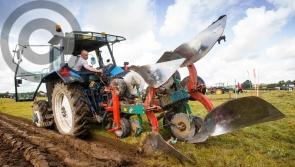 Laois ploughers fly the blue and white with pride in the Faithful County at #ploughing17