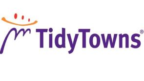 Record number of entries to Tidy Towns announced ahead of results for 2019