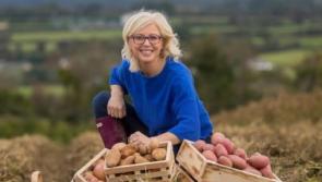 Delightful spuds! Will you try these recipes for National Potato Day in Laois?