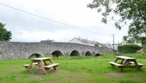 Anger in Portarlington after picnic bench reportedly vandalised by group of teenagers