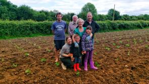Pick and carve your own pumpkin for Halloween on this charming Laois farm