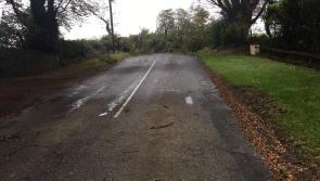 Laois Road closures, power outages and fallen trees as Storm Ophelia wreaks havoc