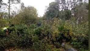 Council staff clearing up as Storm Debi passes through Laois