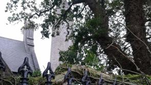 #Ophelia set to help Laois village twinkle this Christmas in Laois