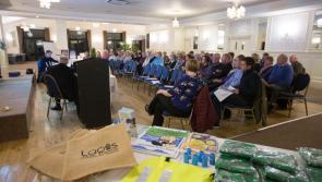 Abbeyleix has never looked so good but is not resting on its laurels