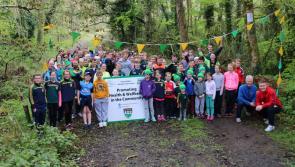 'Ireland Lights Up' - GAA community initiative to return in January 2022