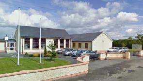 Village on Laois Kildare border at flood risk as river changes course