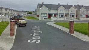 Get somebody to get 'off their ass' and sort out estate -  councillor urges Laois and Carlow councils