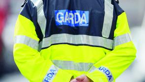 Body found in burnt out car on the Curragh 