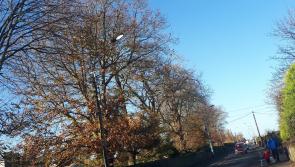 Streetlights are shining 24 hours a day on this Portlaoise road