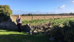 People nicking stone from damaged wall in Laois cemetery