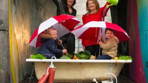 Get Laois Growing with share of €75,000 funding