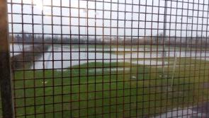 Flooding causes Portlaoise AFC game with Beggsboro FC to be called off