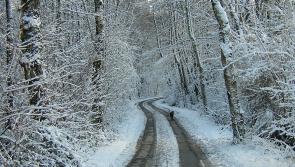 Met Éireann forecasts wintry end to 2020 with snow and ice warnings issued #sneachta