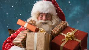 Santa's Helpers call out for help to make sure everyone is happy on Christmas morning in Laois