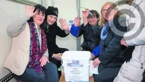 Start the New Year with a vintage walk and run in Laois