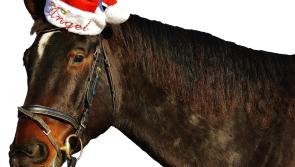 LAOIS LINGO - Your guide to small talk with your family this Christmas