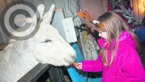 Rathdowney Live Crib is a mesmerising Christmas spectacle
