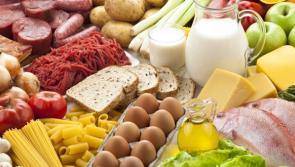 Record year for Irish food and drink exports 