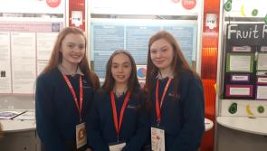 WATCH: Laois students test the need for speed at the BT Young Scientist Exhibition 