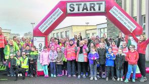 Details of Laois Operation Transformation walks this weekend