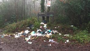 Laois councillor wants law changed to allow 'name and shame' of dumpers