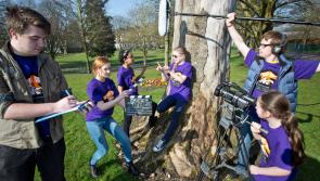 Fresh Film Festival: Is Ireland's Young Filmmaker of the year from Laois? 