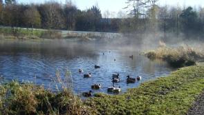 Laois County Council to build €120k riverside cycle path to Portlaoise schools