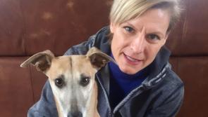 Animal welfare activist reacts after 'barbaric killing' of dog in Laois