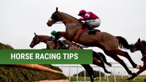 Cheltenham Festival Tips: Wednesday's top picks