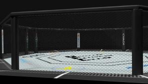 Death of MMA fighter in bout against Laois man leads to call for the  sport's regulation